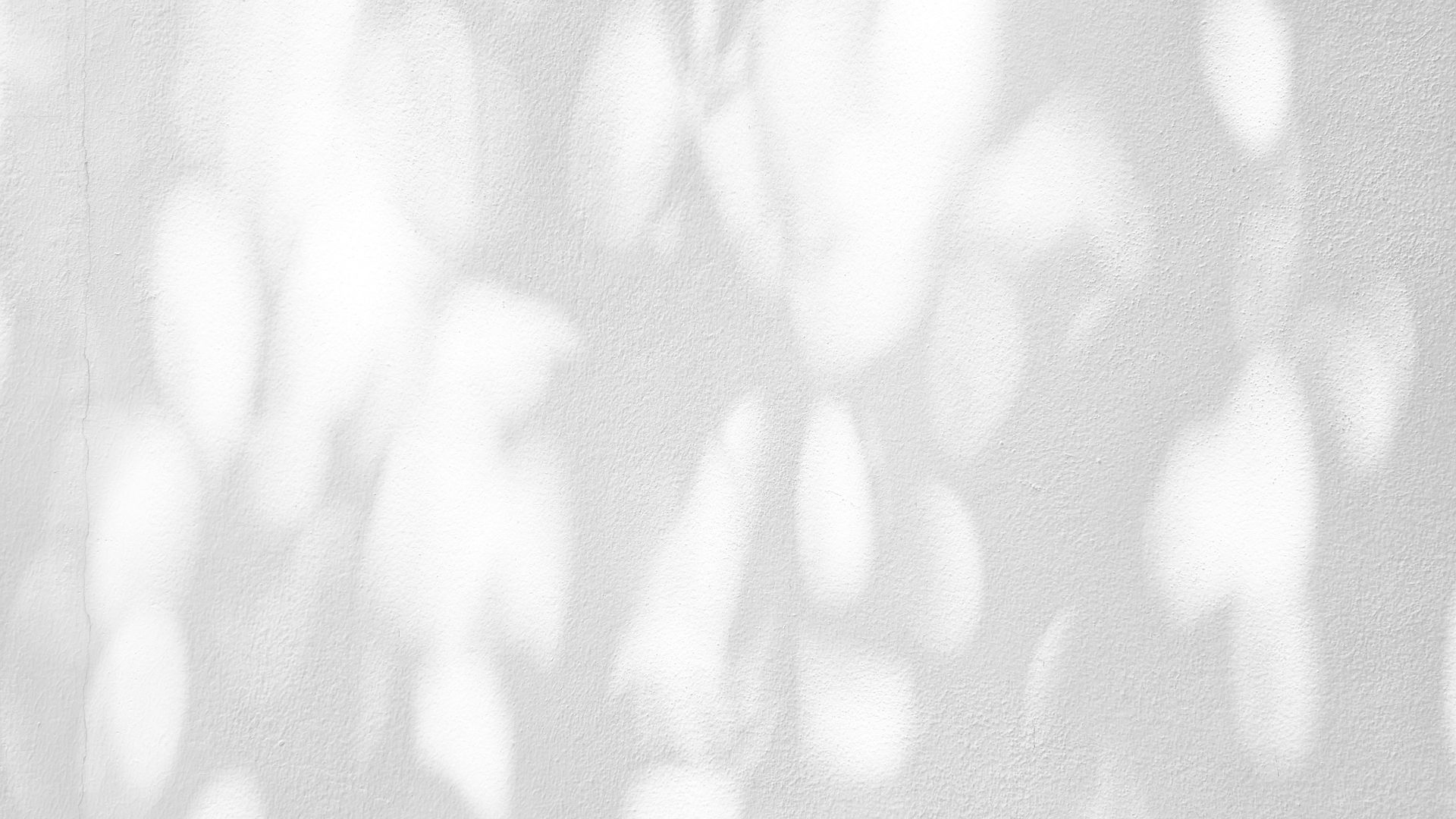 Cäcilie Hintergrundbild Wand mit Schatten